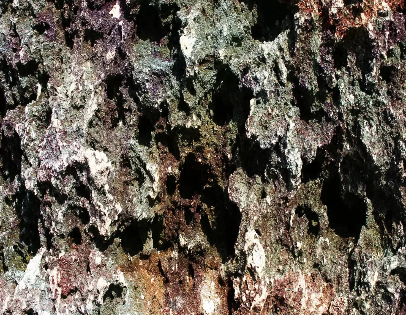 Irk 8X6 Fleece ( 96 X 72 Inch ) Backdrop