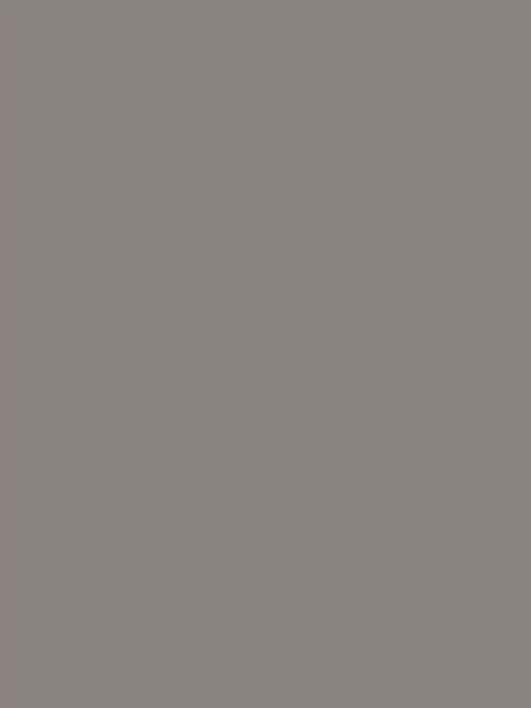 Iron 8X10 Ultracloth ( 96 X 120 Inch ) Backdrop