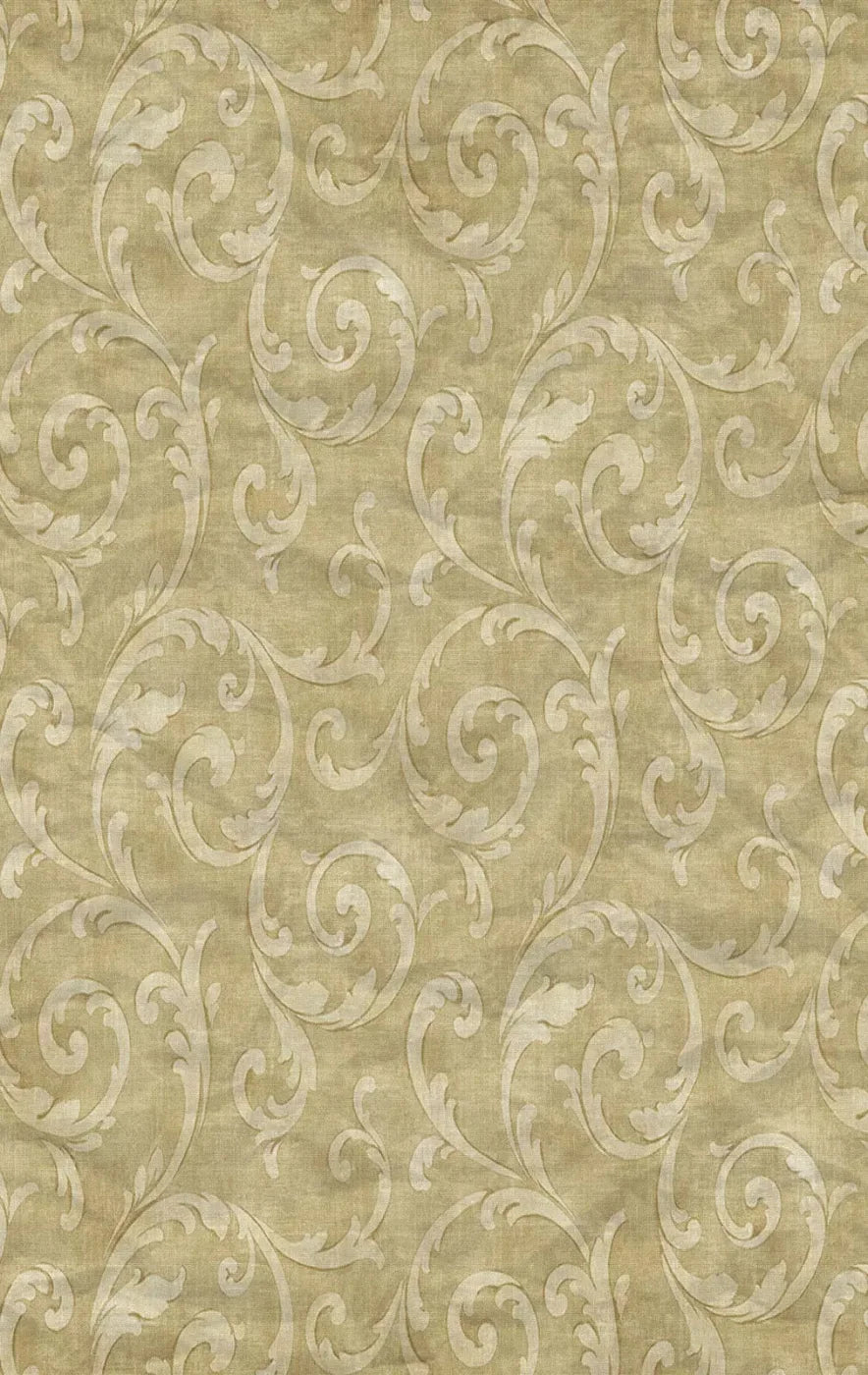 Italia 10X16 Ultracloth ( 120 X 192 Inch ) Backdrop
