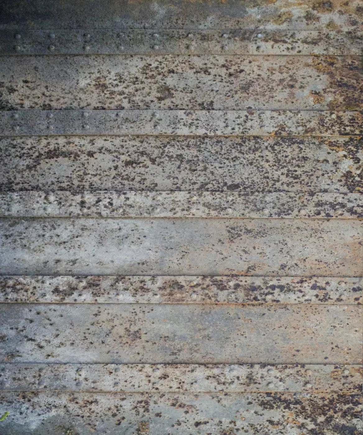 Beige Steel and Metal Backdrop for Photography