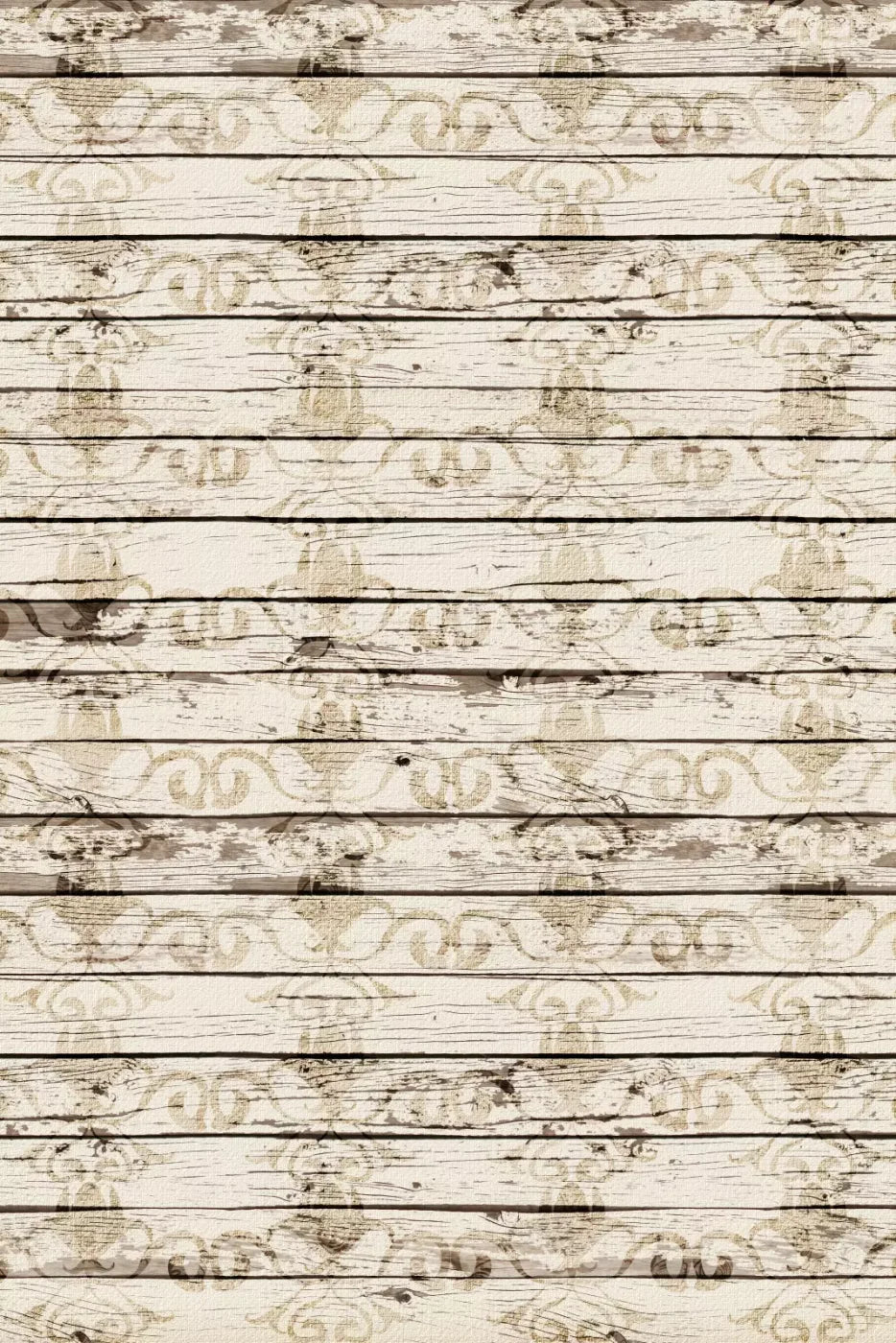 Jane Backdrop