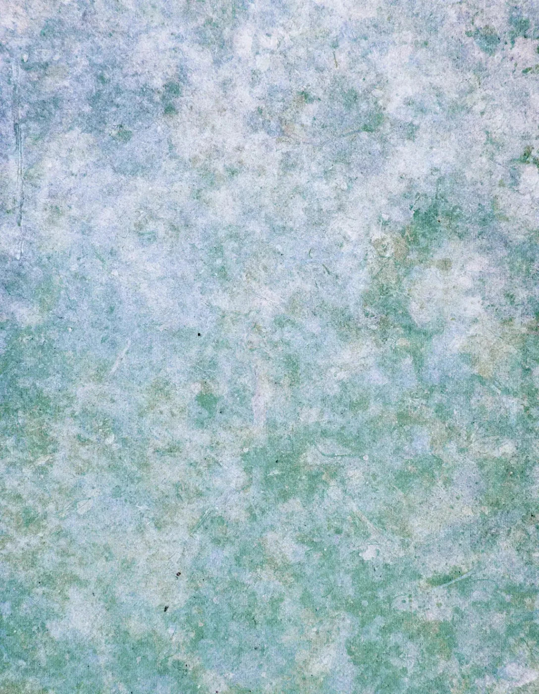 Jenna 6X8 Fleece ( 72 X 96 Inch ) Backdrop