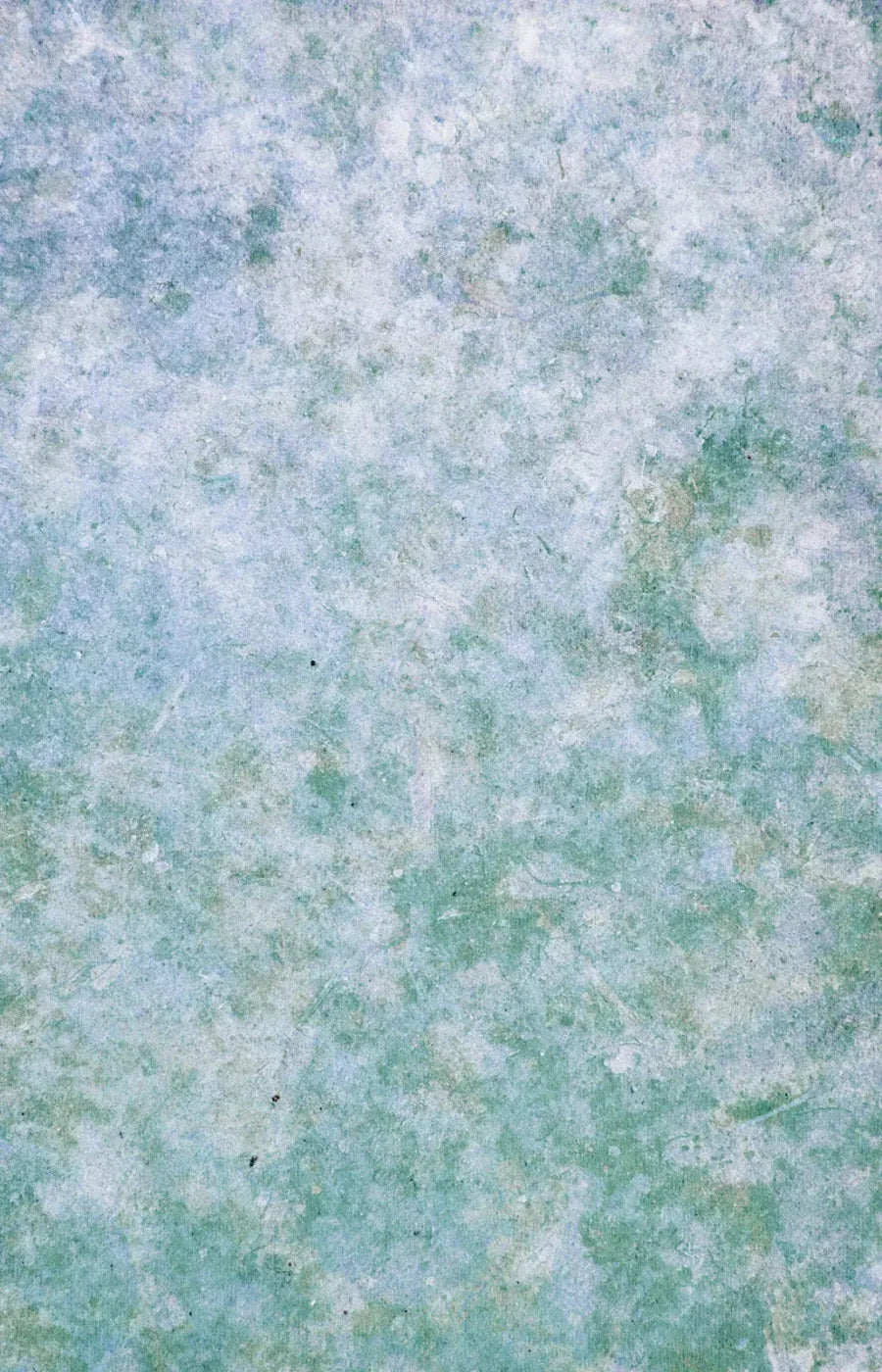 Jenna 8X12 Ultracloth ( 96 X 144 Inch ) Backdrop