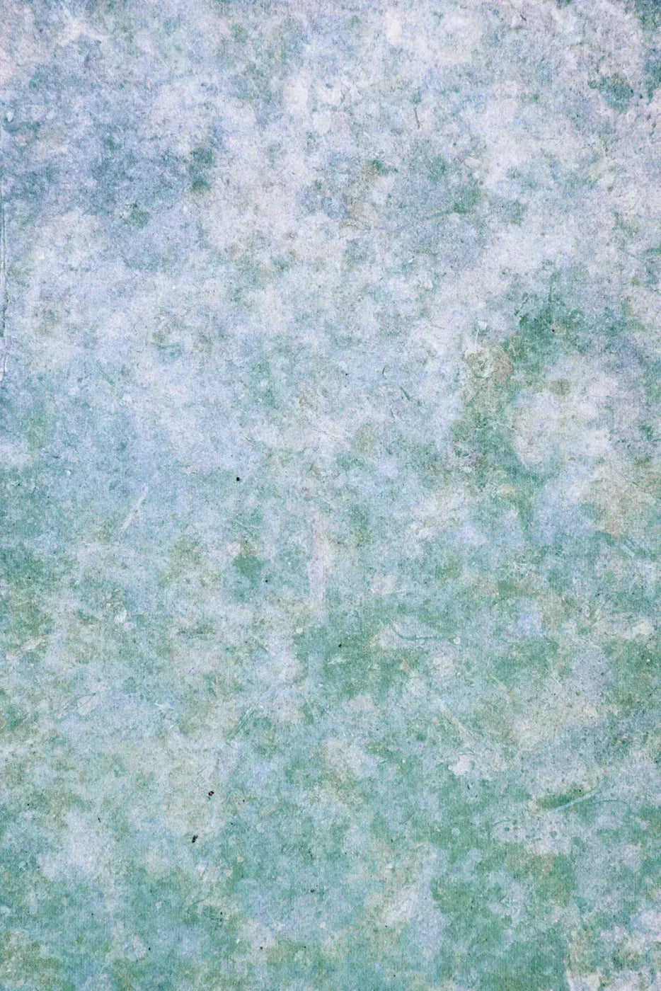 Jenna Backdrop