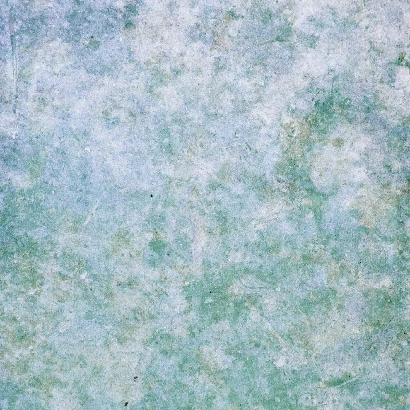Jenna Backdrop