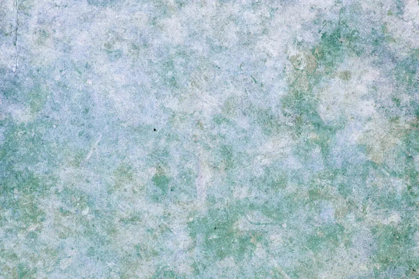 Jenna Backdrop