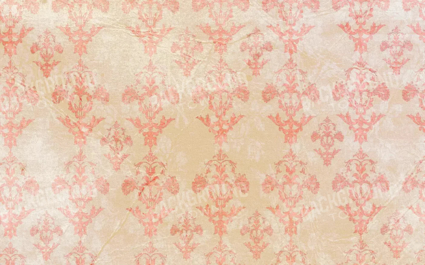 Jenny 14X9 Ultracloth ( 168 X 108 Inch ) Backdrop