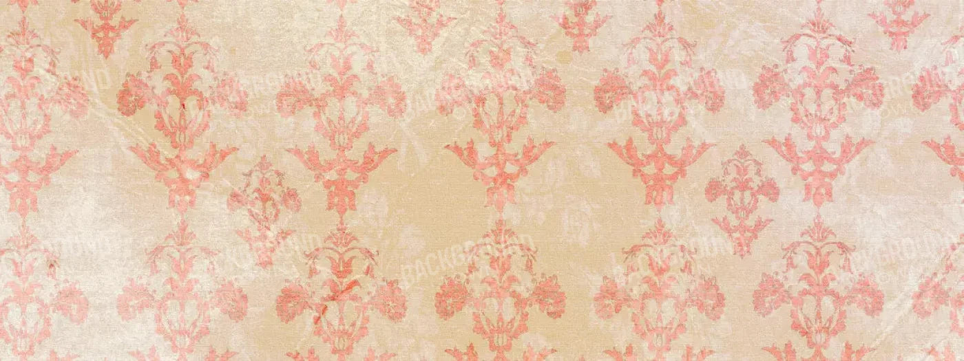 Jenny 20X8 Ultracloth ( 240 X 96 Inch ) Backdrop