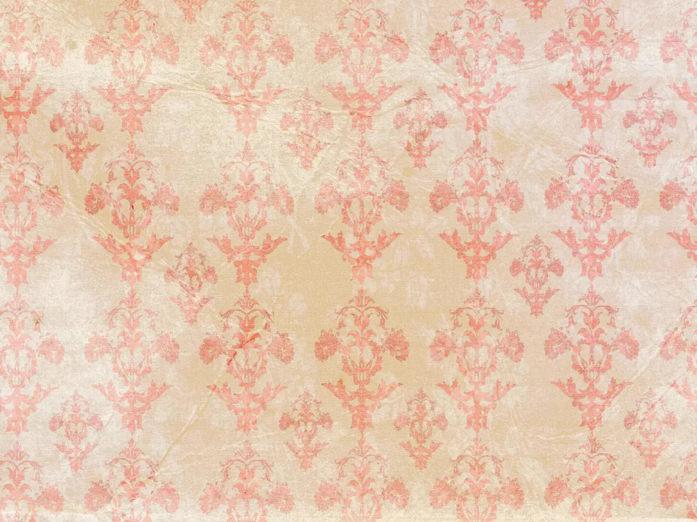 Jenny 68X5 Fleece ( 80 X 60 Inch ) Backdrop