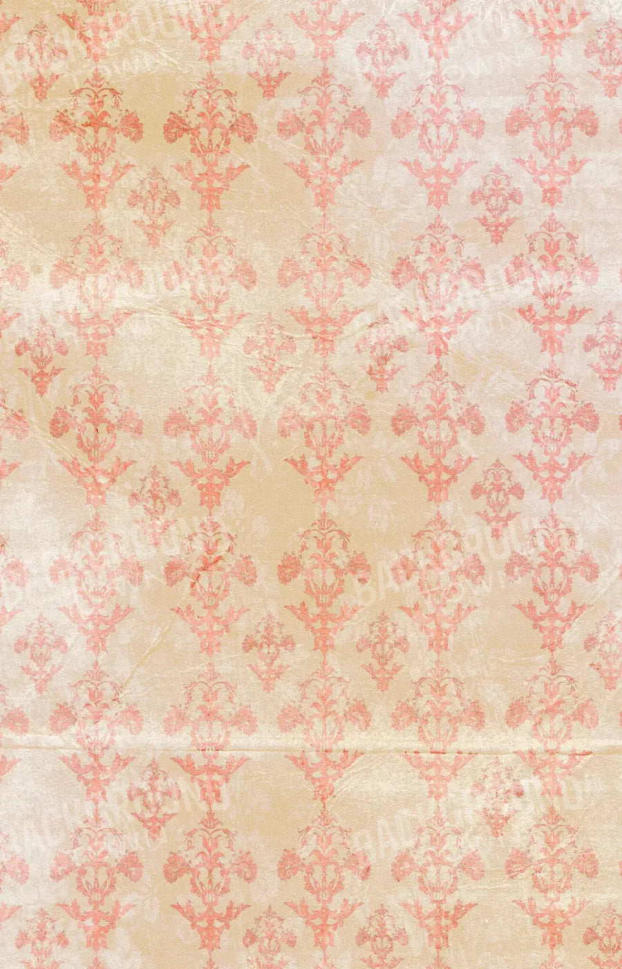 Jenny 8X12 Ultracloth ( 96 X 144 Inch ) Backdrop