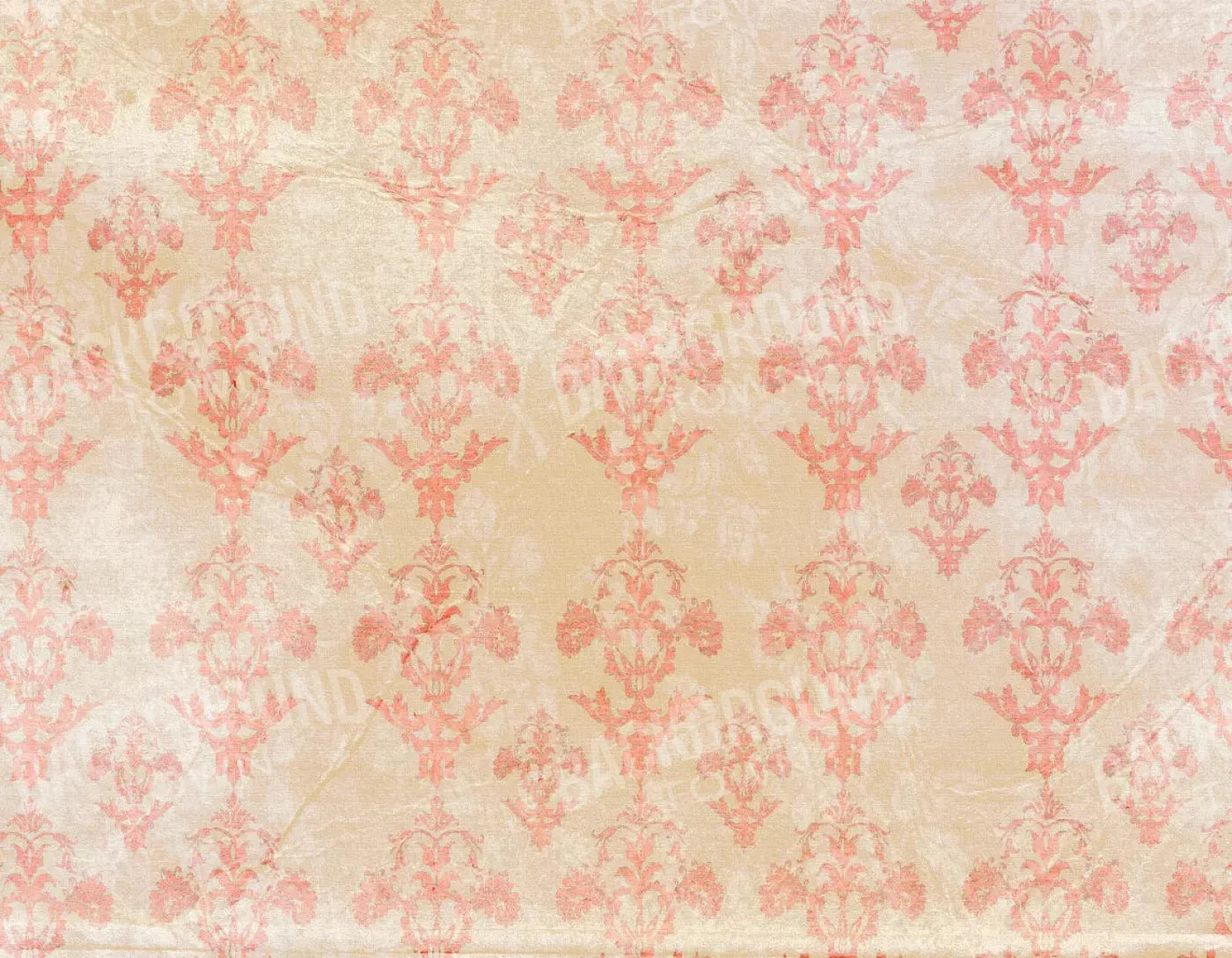 Jenny 8X6 Fleece ( 96 X 72 Inch ) Backdrop