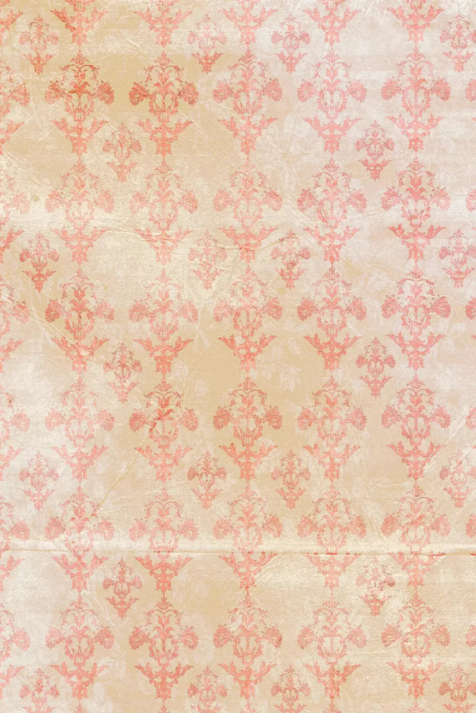 Jenny Backdrop