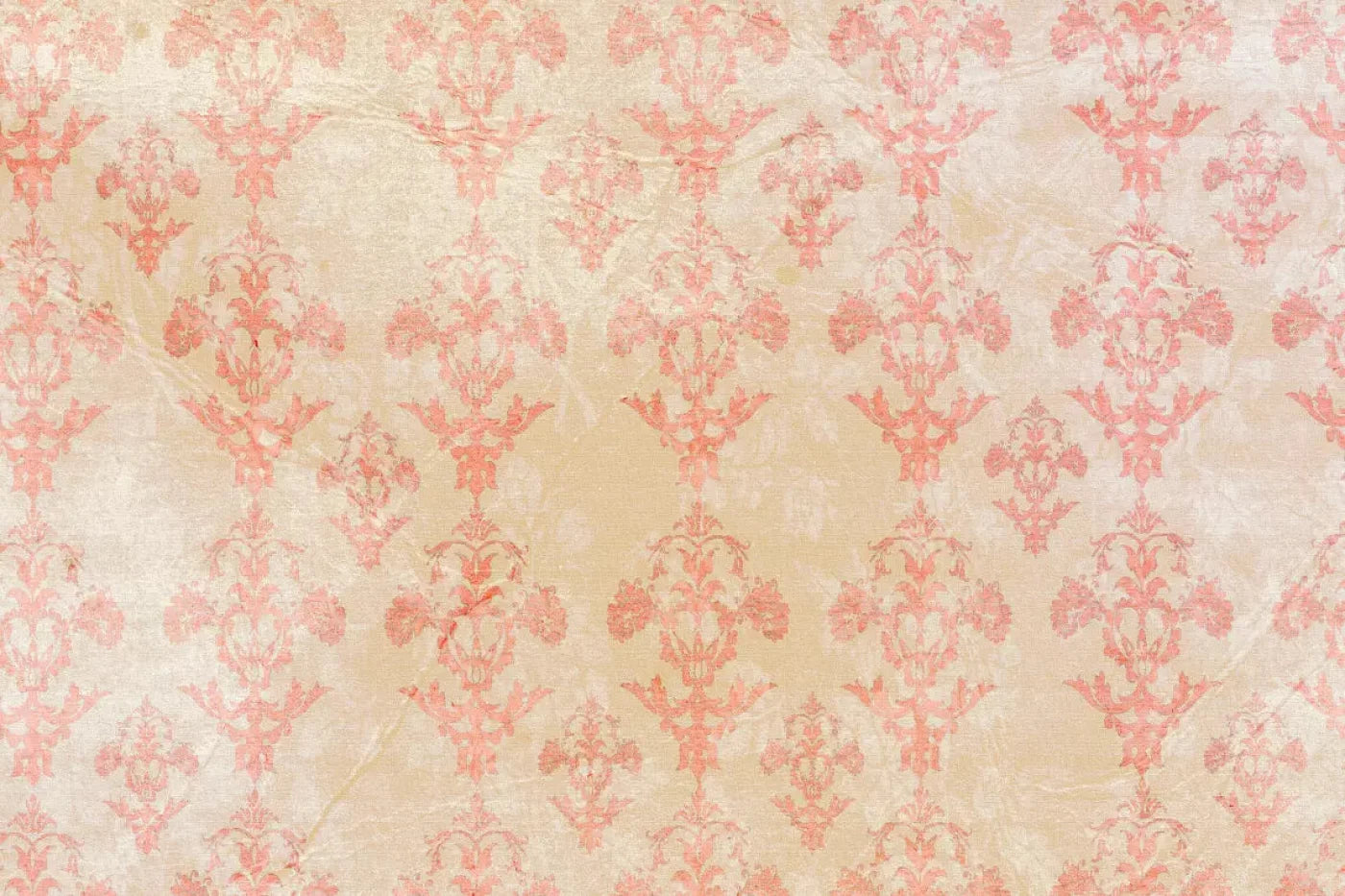 Jenny Backdrop