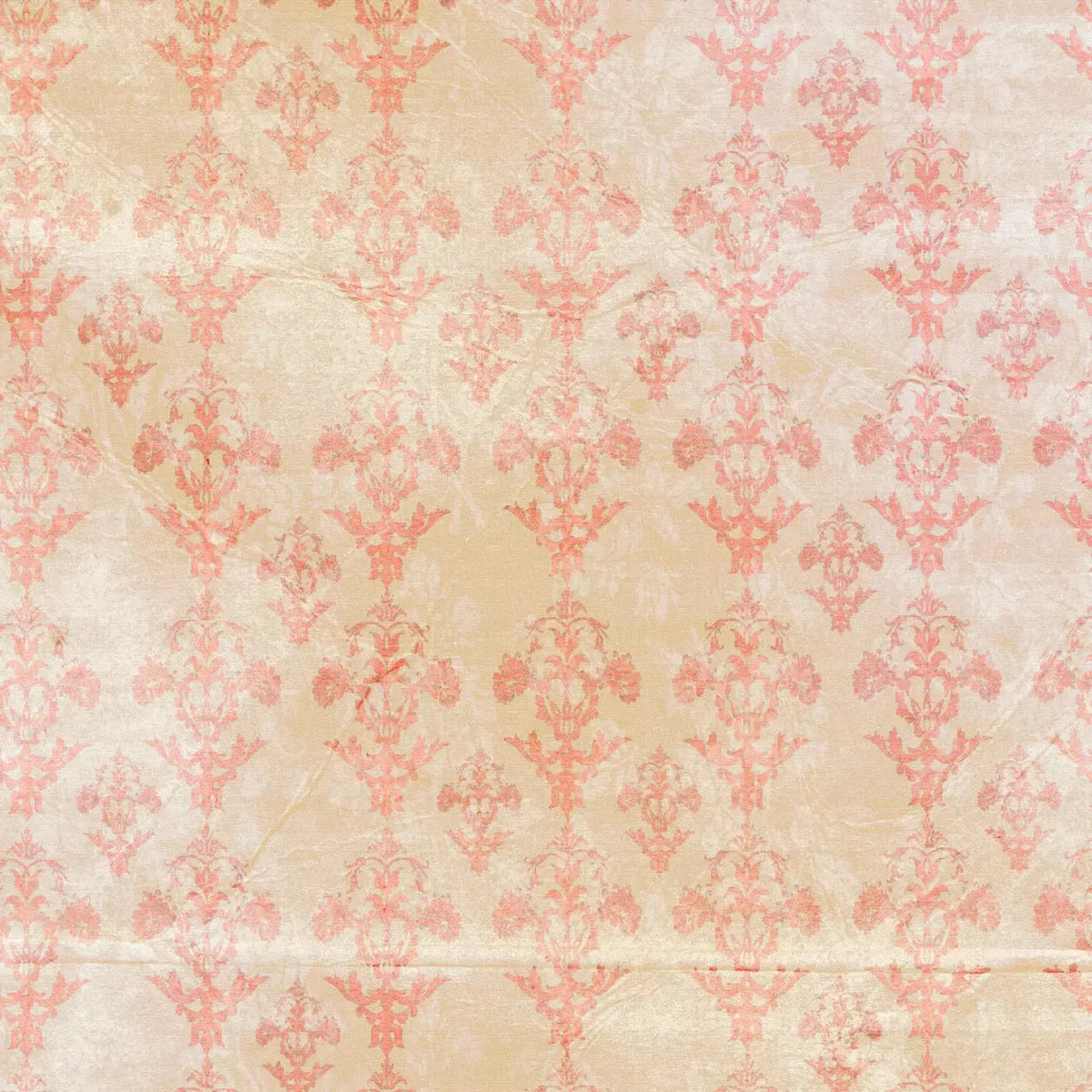 Jenny Backdrop