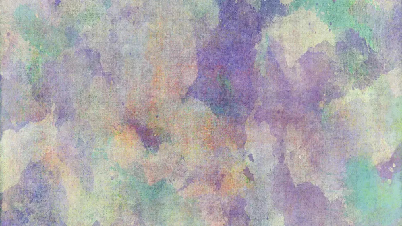 Jessa 14X8 Ultracloth ( 168 X 96 Inch ) Backdrop