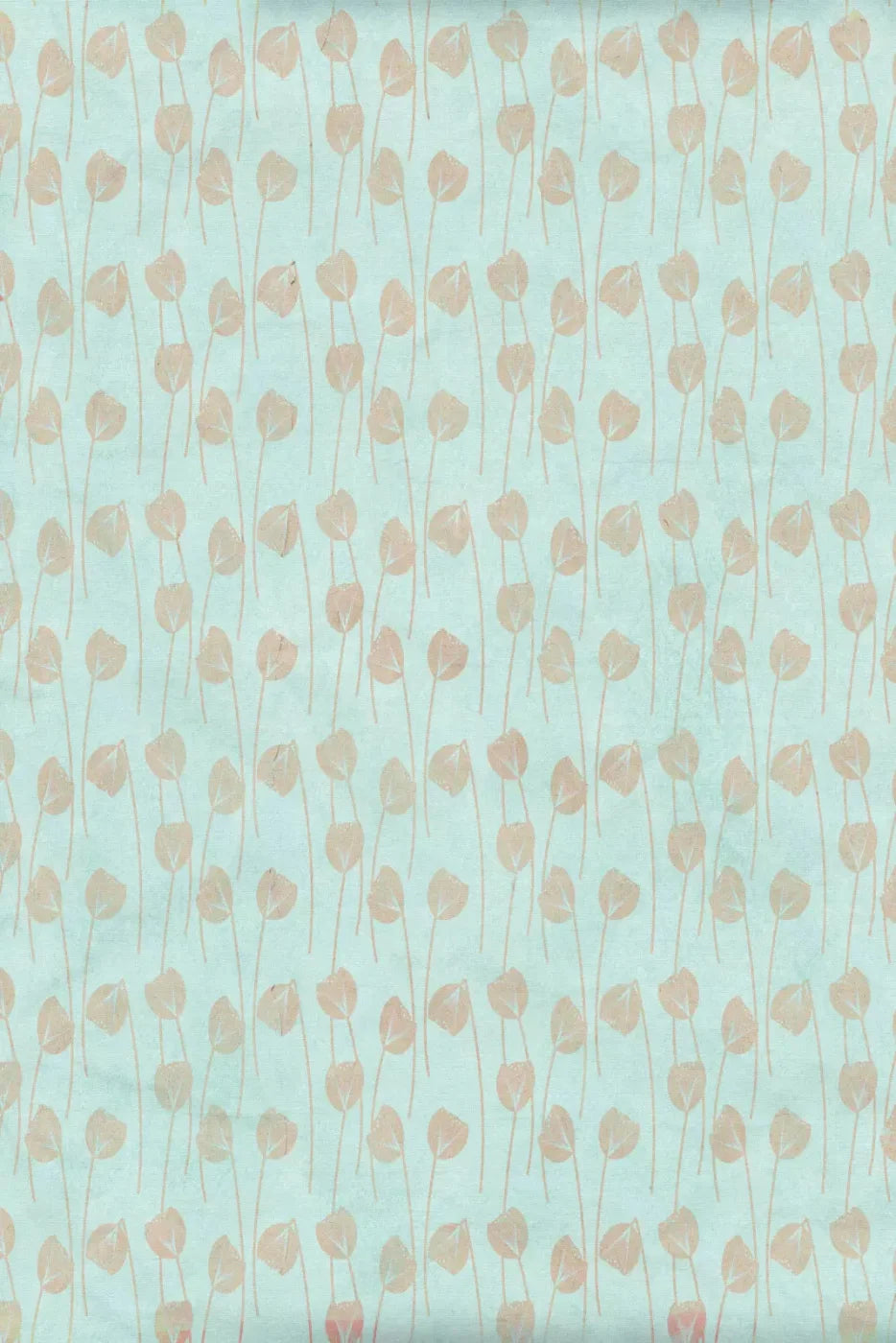 Jillian Backdrop