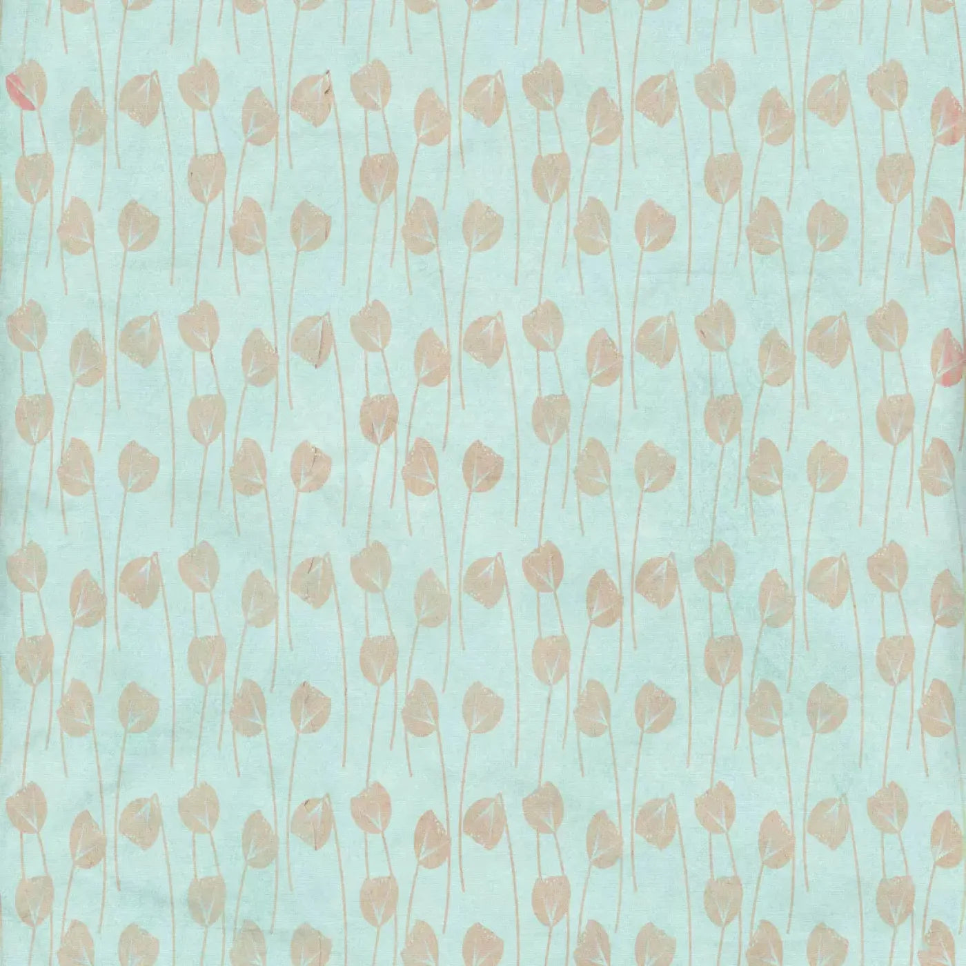 Jillian Backdrop