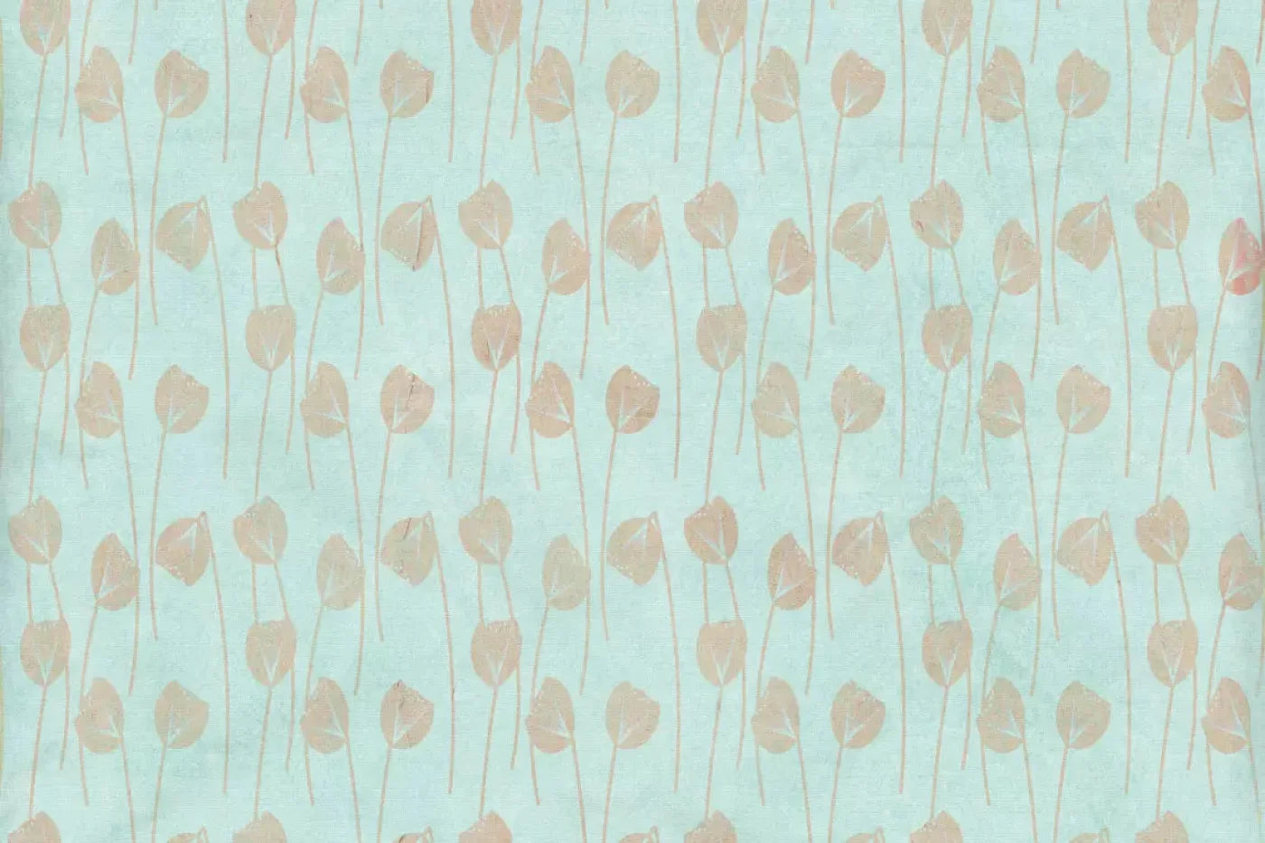 Jillian Backdrop