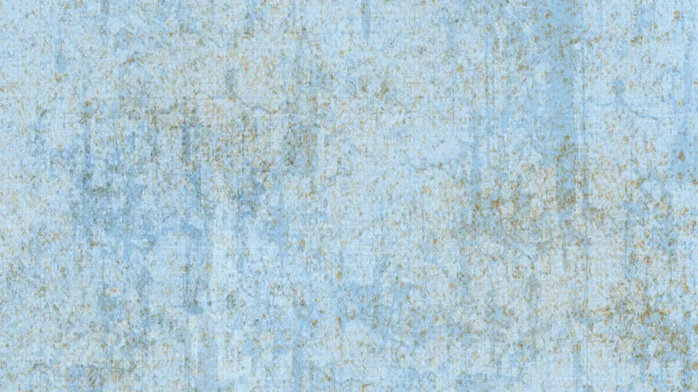 Jonah 14X8 Ultracloth ( 168 X 96 Inch ) Backdrop