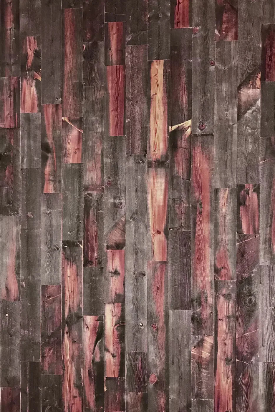 Jorja Backdrop