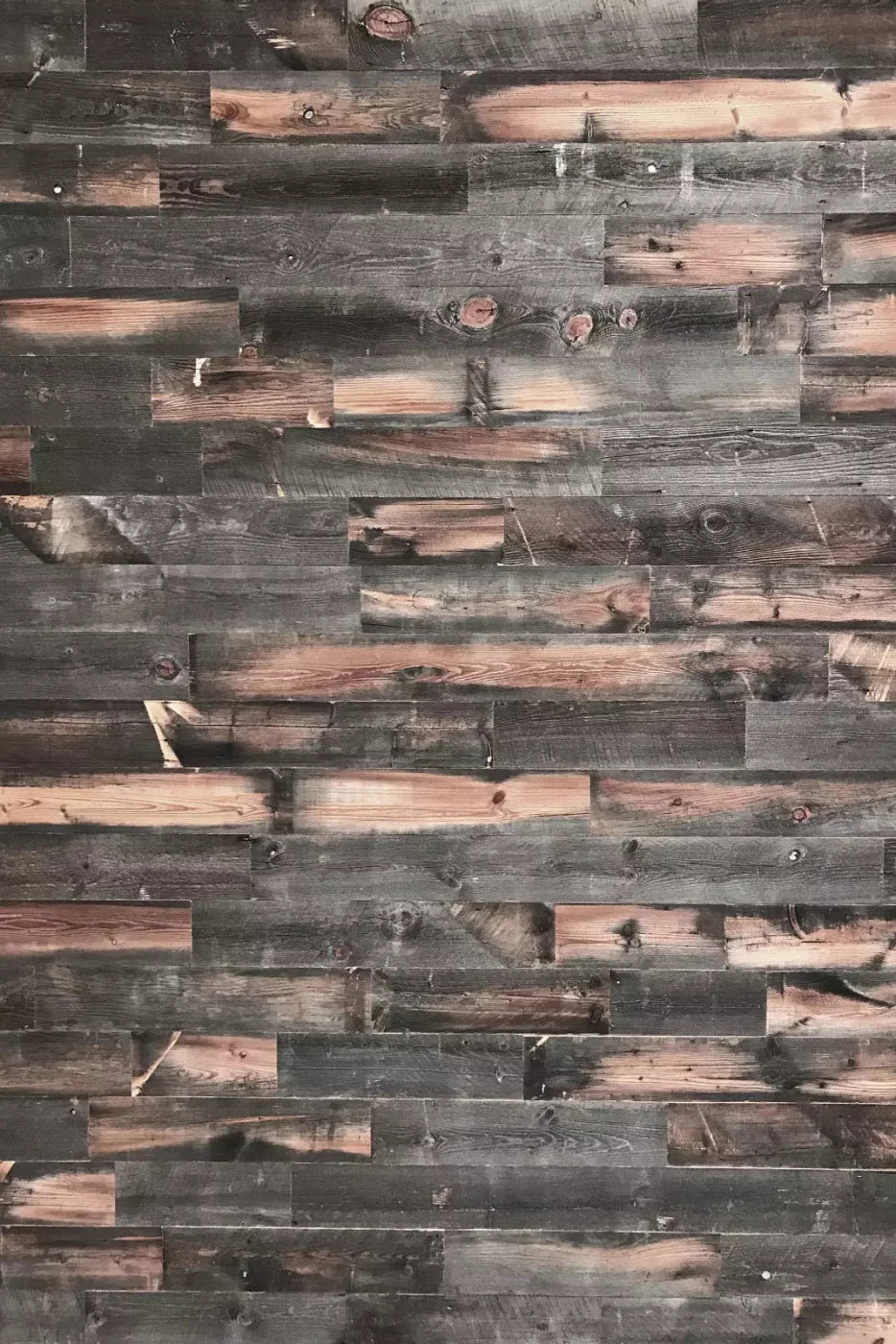 Josephina Backdrop