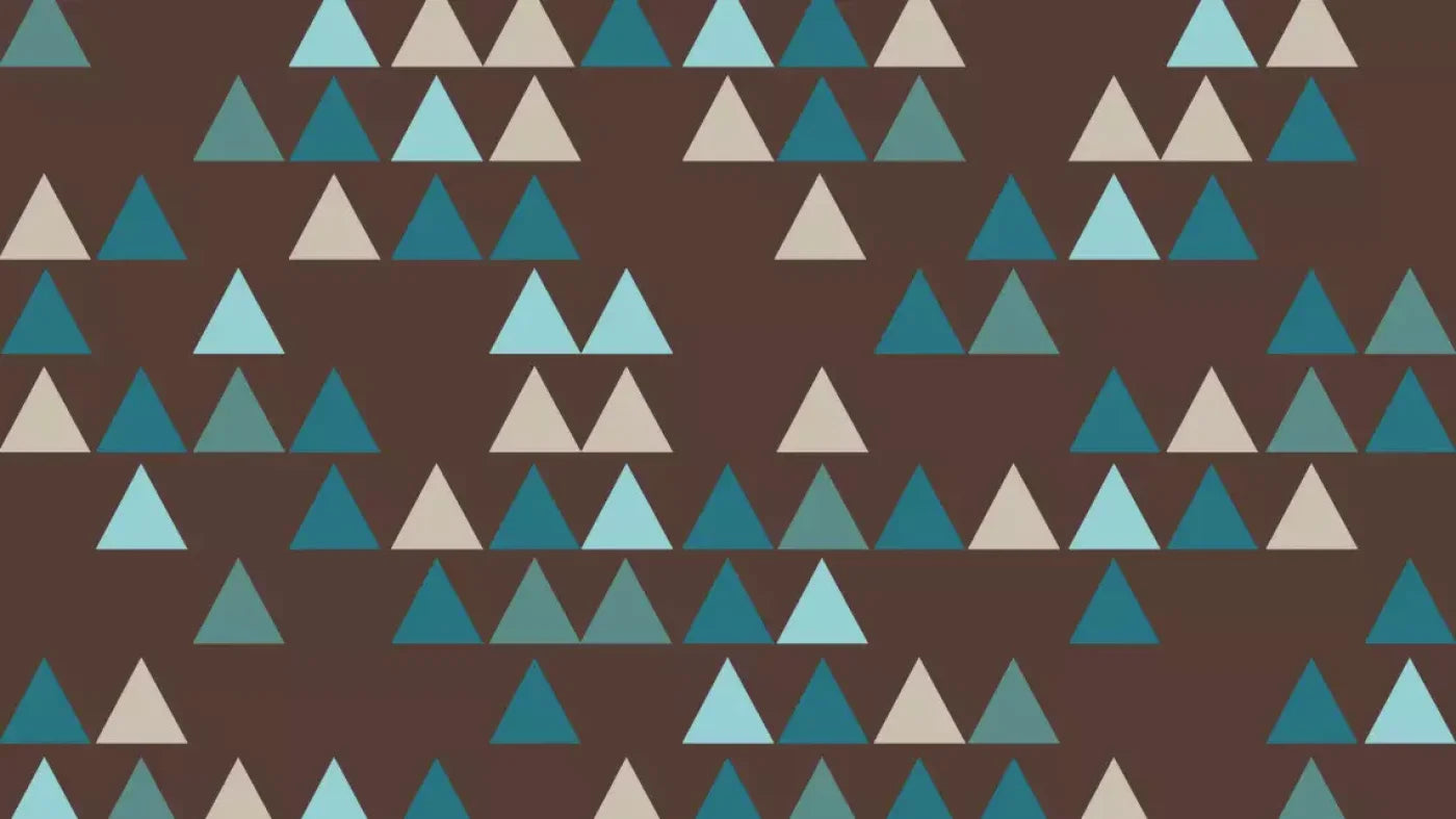Josh 14X8 Ultracloth ( 168 X 96 Inch ) Backdrop