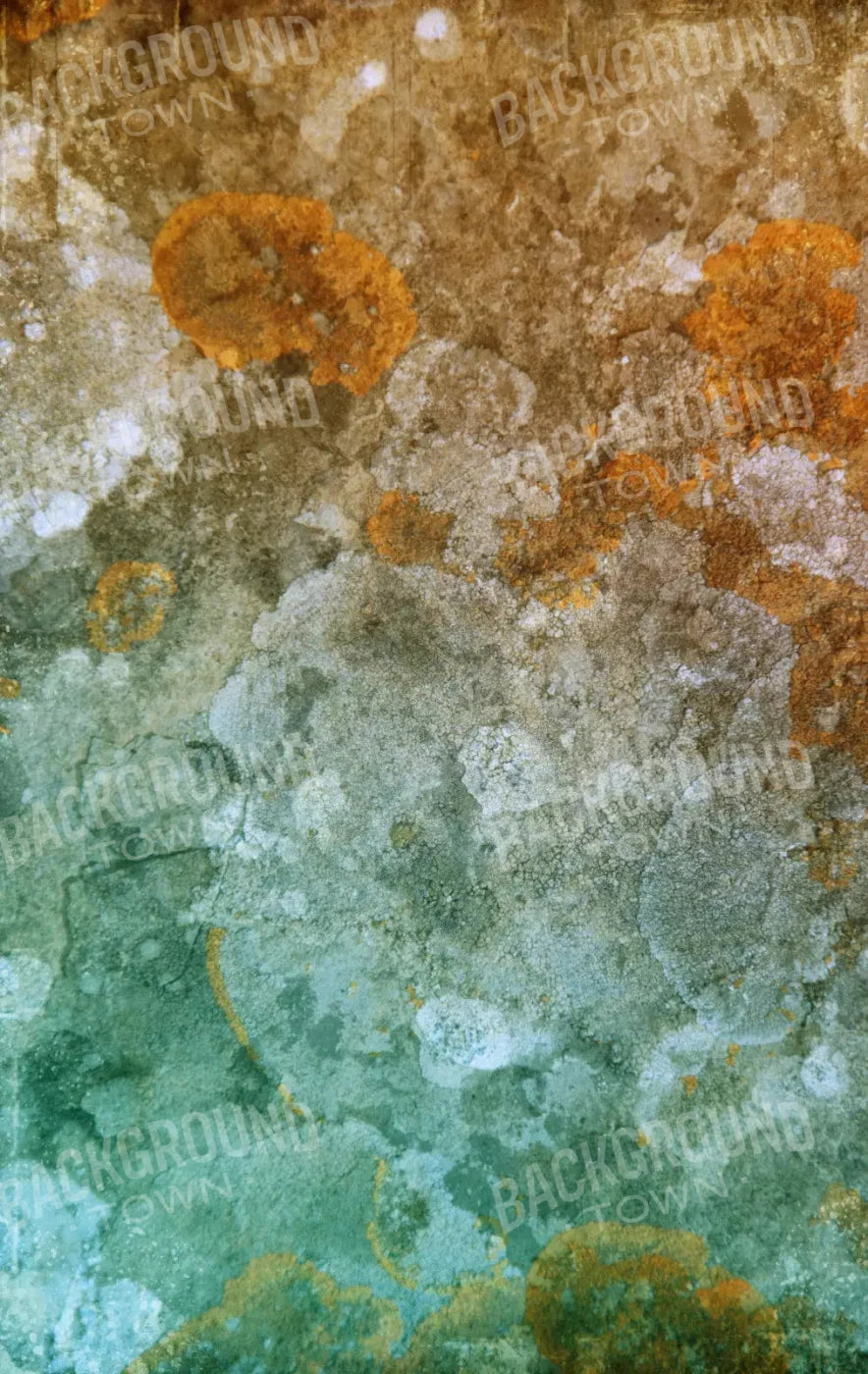 Juan 10X16 Ultracloth ( 120 X 192 Inch ) Backdrop