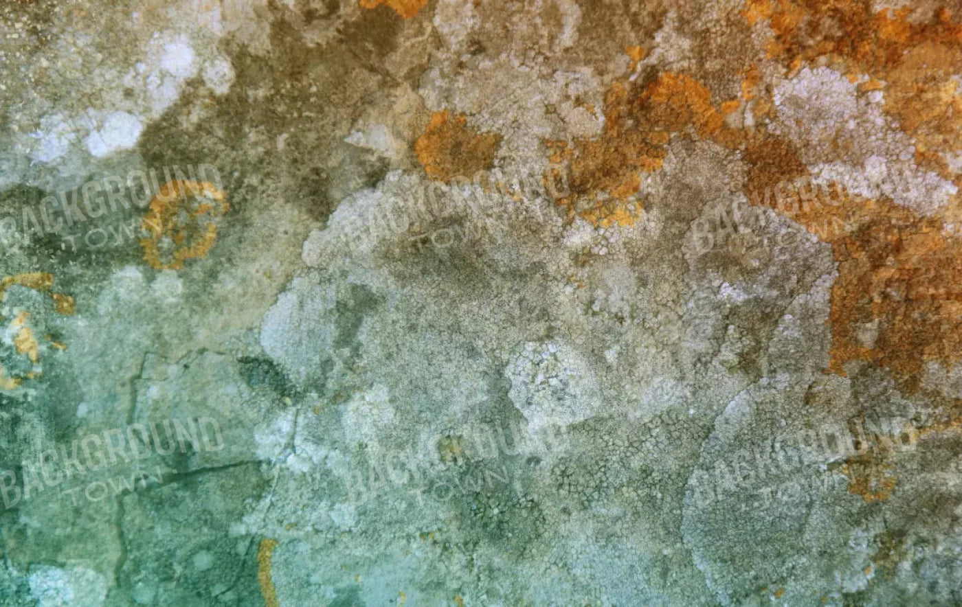 Juan 16X10 Ultracloth ( 192 X 120 Inch ) Backdrop