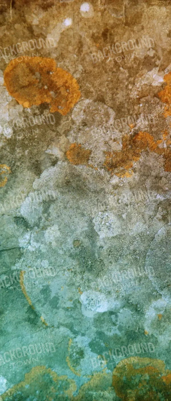 Juan 5X12 Ultracloth For Westcott X-Drop ( 60 X 144 Inch ) Backdrop