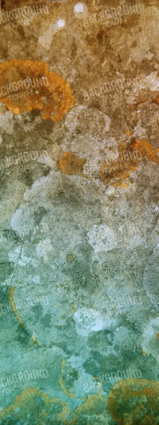 Juan 8X20 Ultracloth ( 96 X 240 Inch ) Backdrop