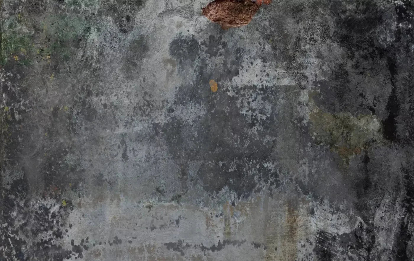 Judson 16X10 Ultracloth ( 192 X 120 Inch ) Backdrop