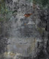 Gray Urban Grunge Backdrop for Photography