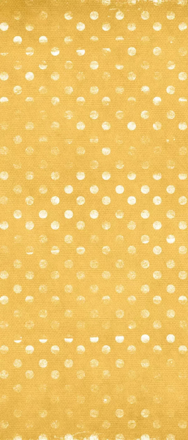 Julien 5X12 Ultracloth For Westcott X-Drop ( 60 X 144 Inch ) Backdrop