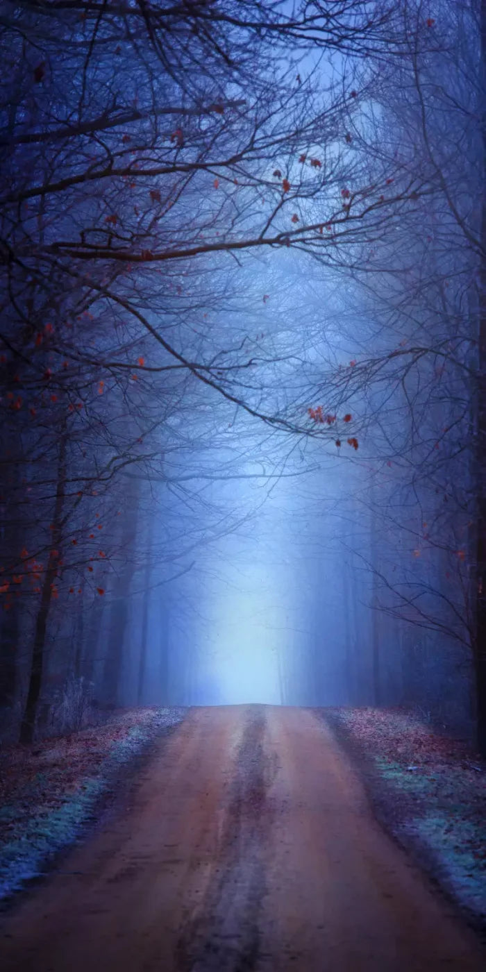Just Before Dawn 10’X20’ Ultracloth (120 X 240 Inch) Backdrop