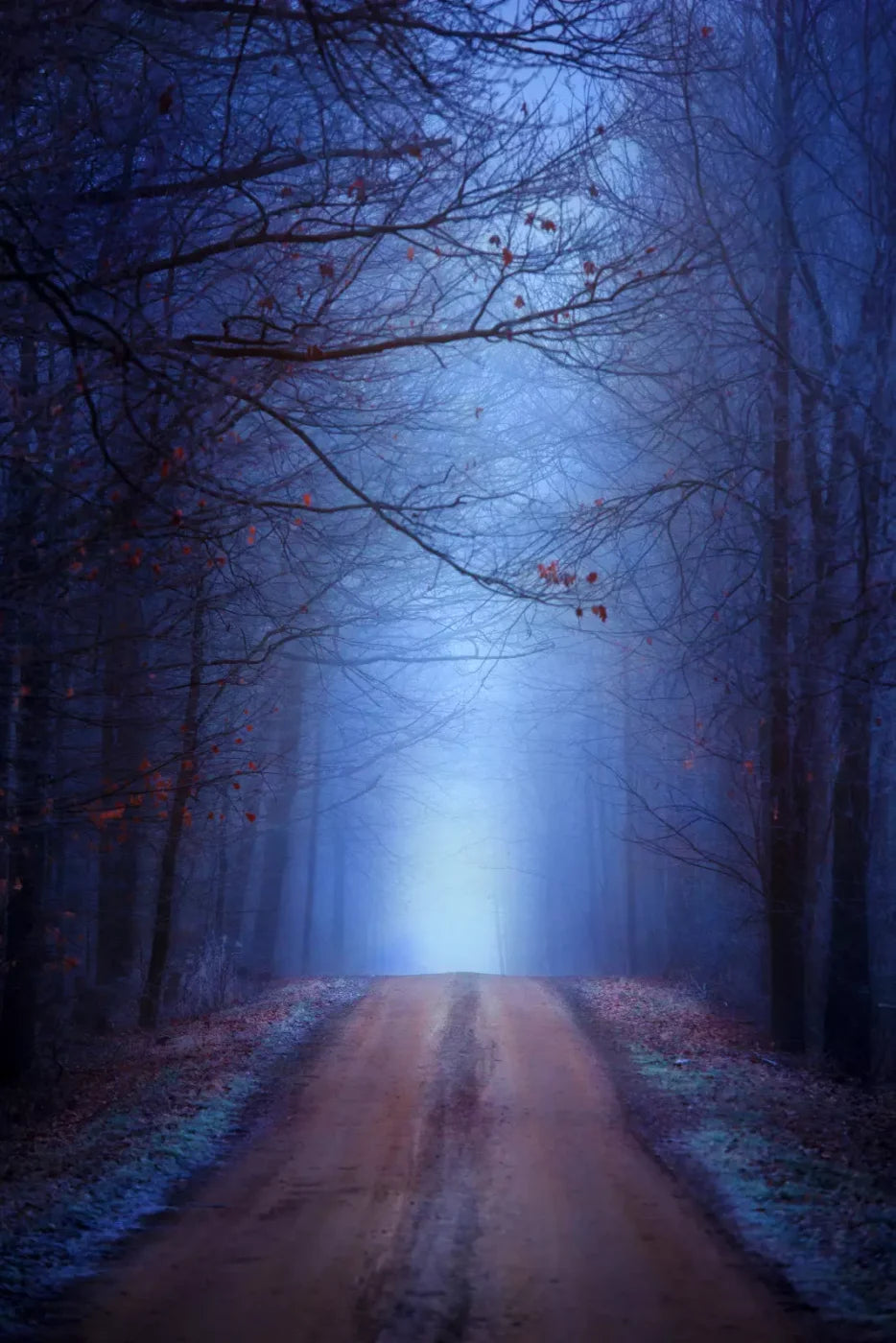 Just Before Dawn 5’X8’ Ultracloth (60 X 96 Inch) Backdrop