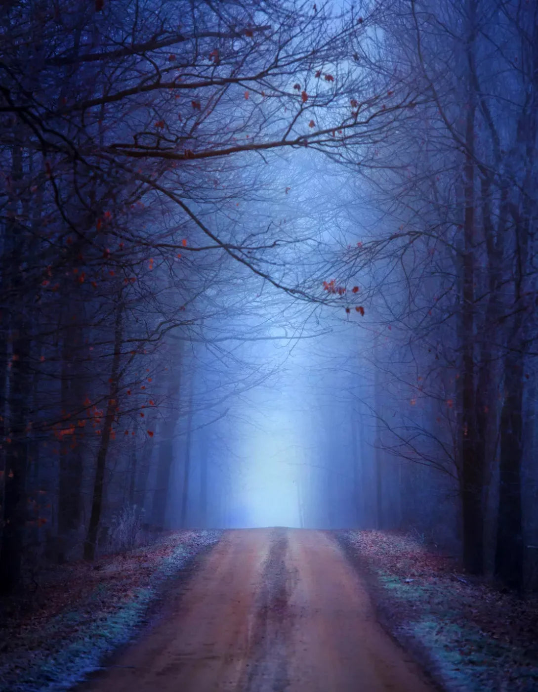 Just Before Dawn 6’X8’ Fleece (72 X 96 Inch) Backdrop