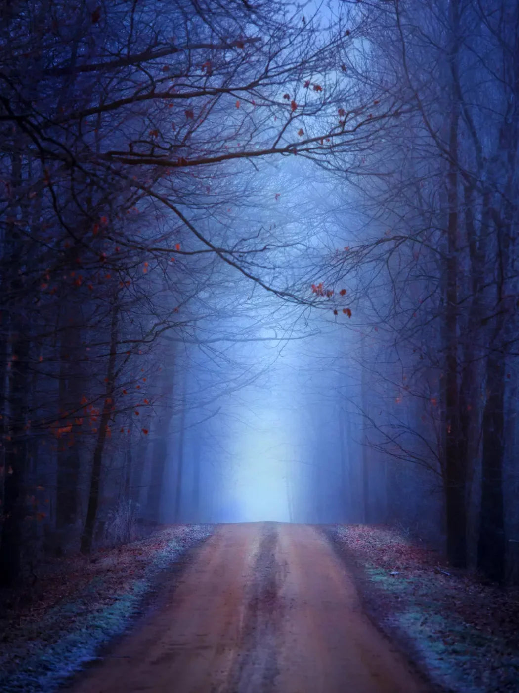Just Before Dawn 8’X10’ Fleece (96 X 120 Inch) Backdrop