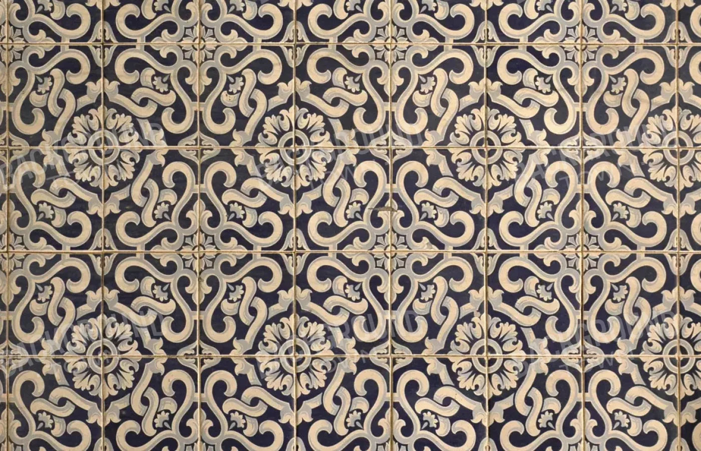 Kaitlyn 12X8 Ultracloth ( 144 X 96 Inch ) Backdrop