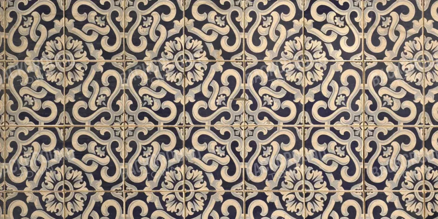 Kaitlyn 20X10 Ultracloth ( 240 X 120 Inch ) Backdrop