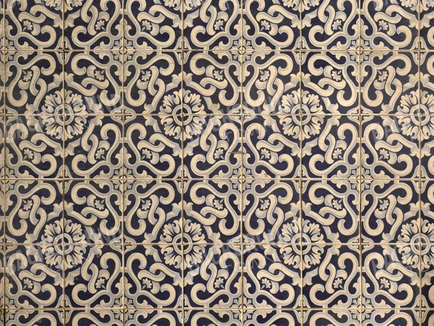 Kaitlyn 68X5 Fleece ( 80 X 60 Inch ) Backdrop