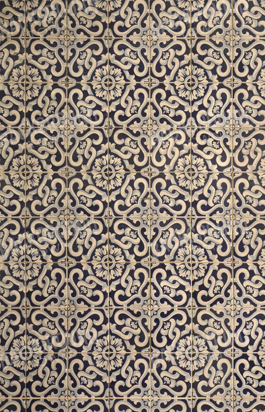 Kaitlyn 8X12 Ultracloth ( 96 X 144 Inch ) Backdrop