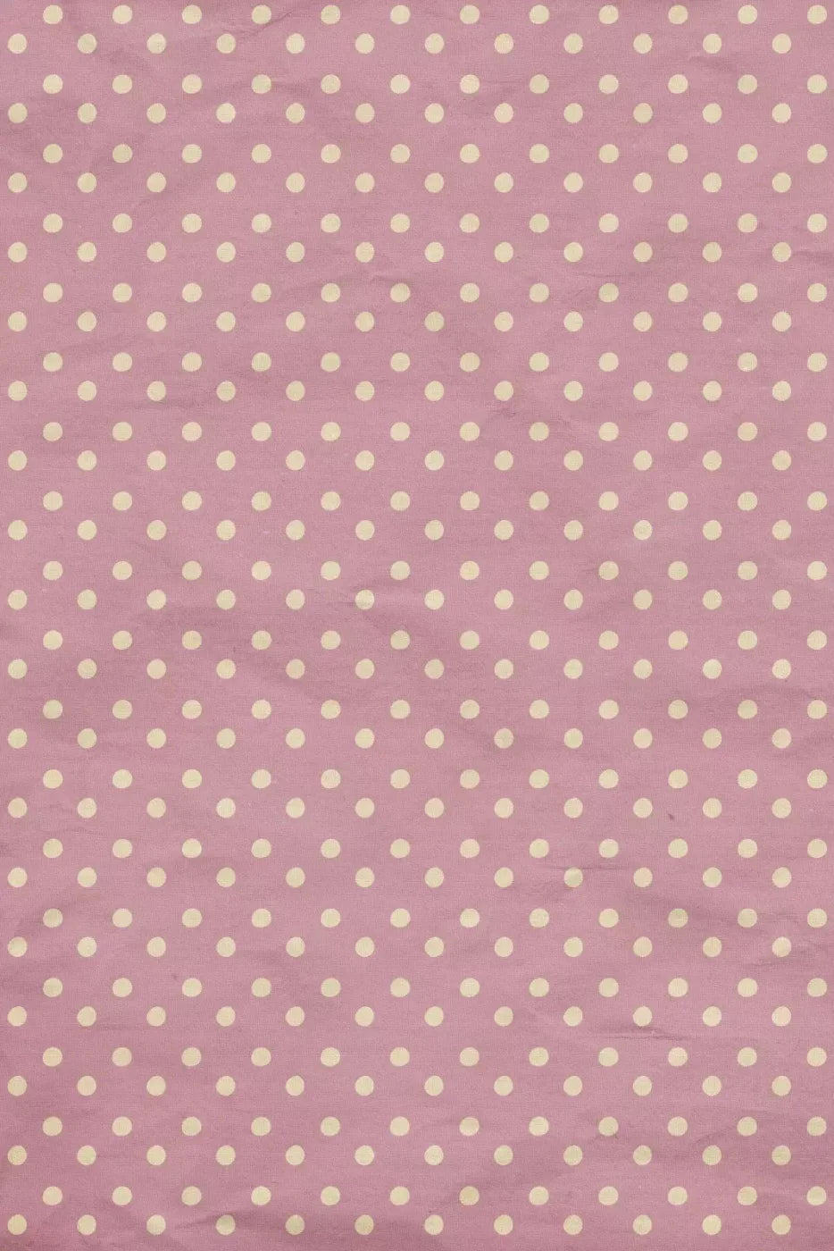 Katherine Backdrop