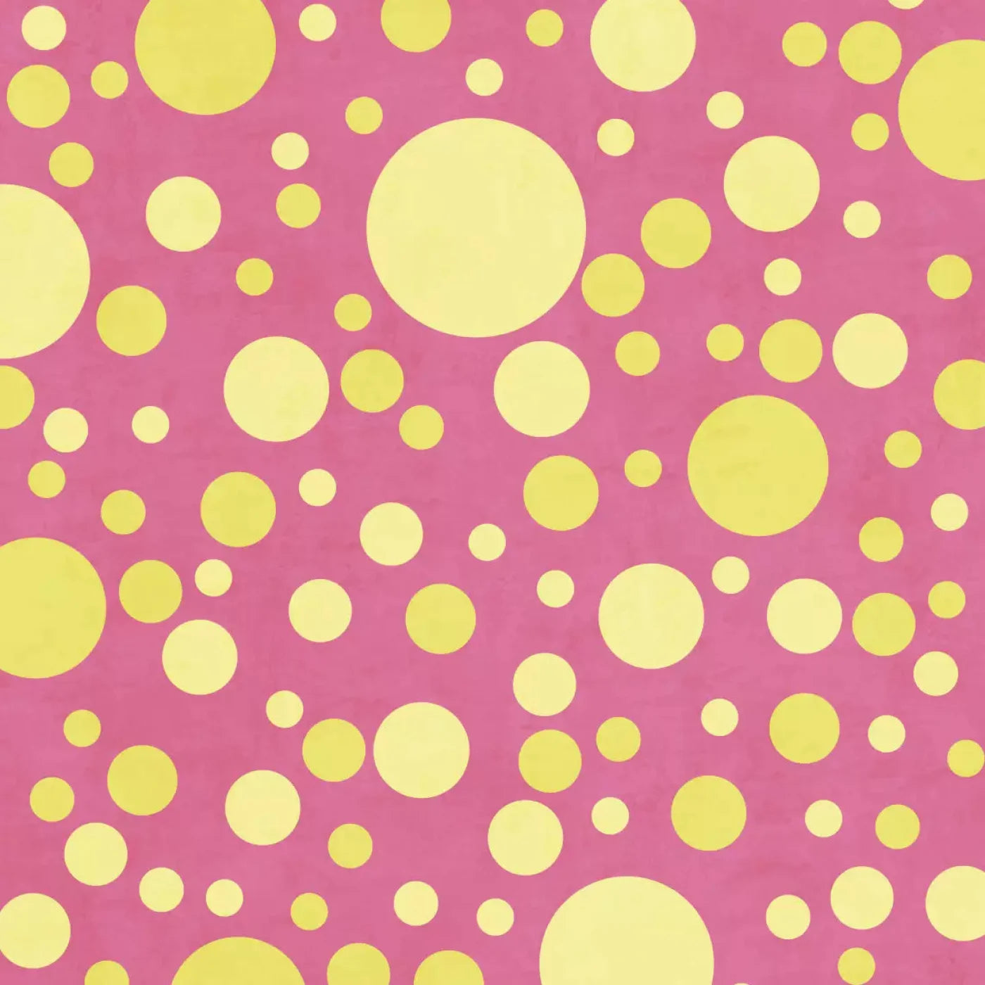 Katie Backdrop