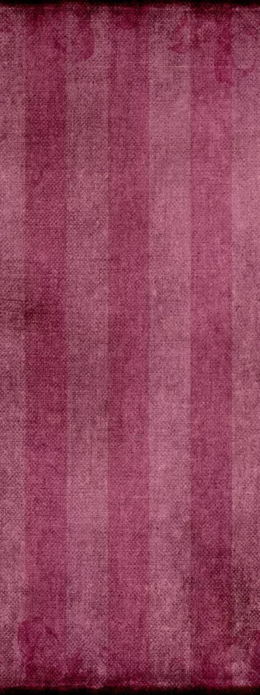 Kay 8X20 Ultracloth ( 96 X 240 Inch ) Backdrop