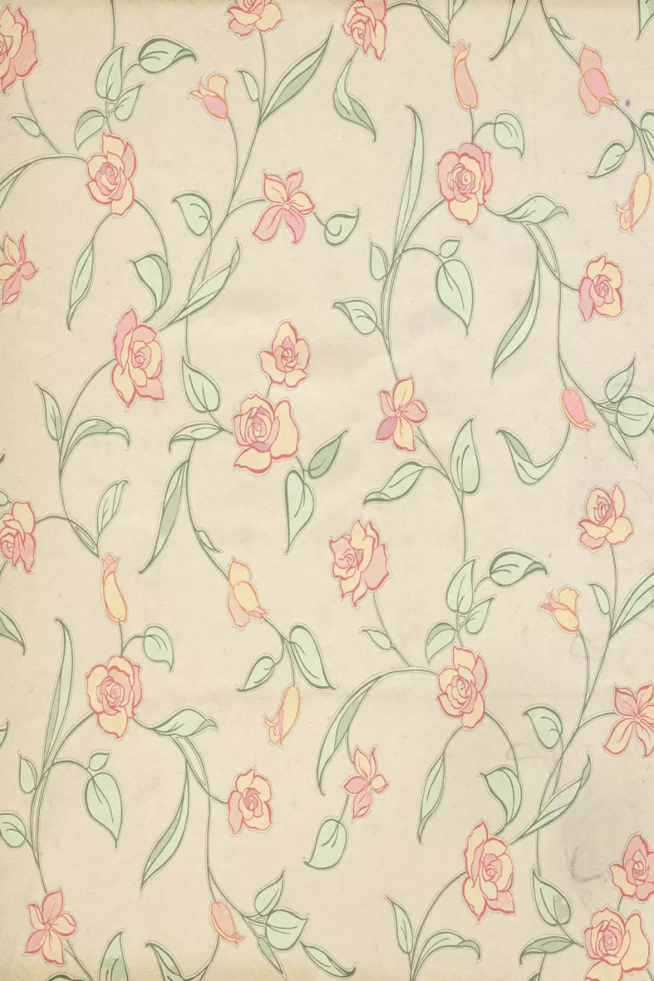 Kayla Backdrop