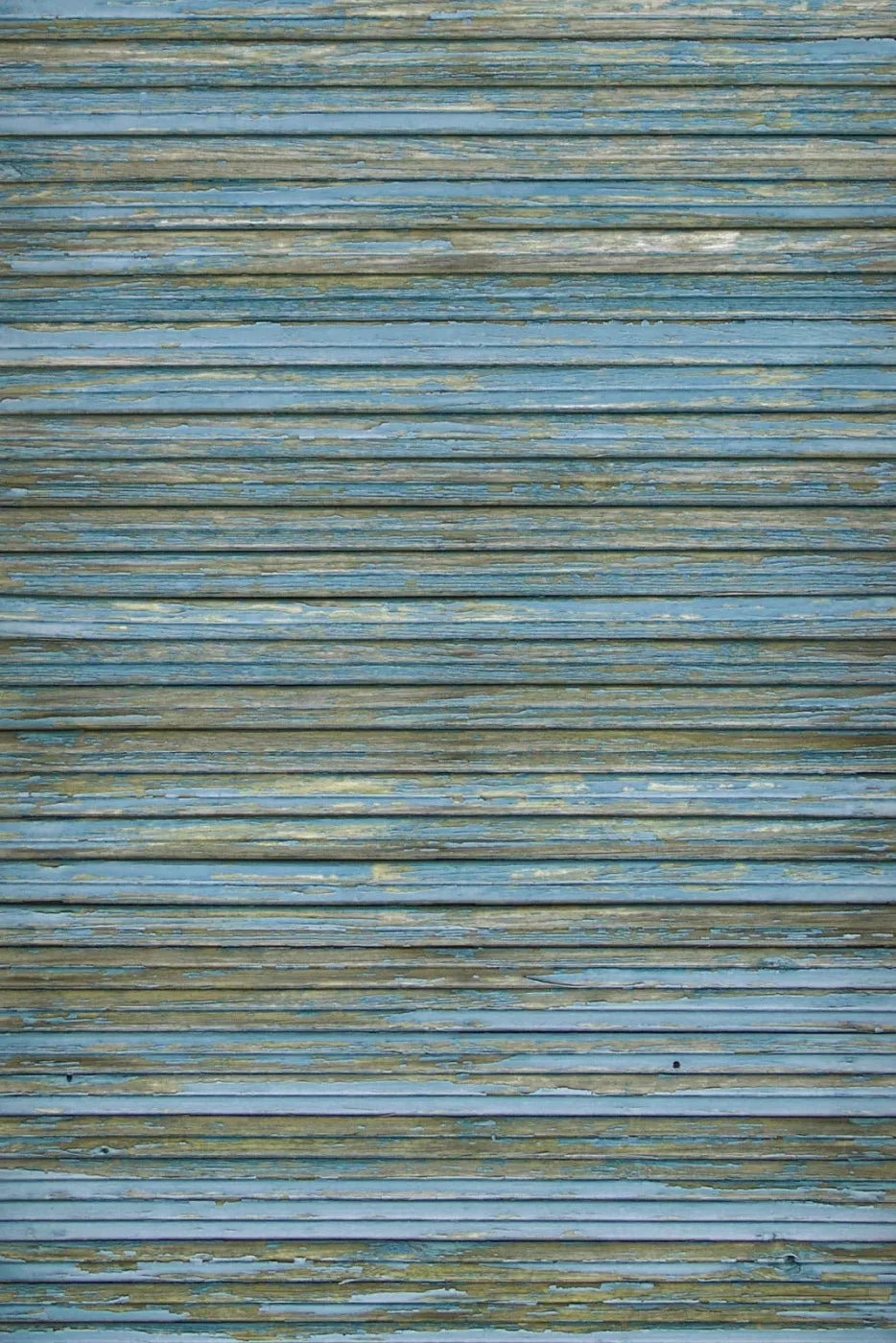Kenneth Backdrop