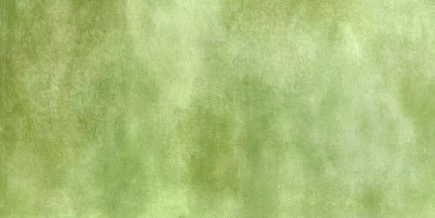 Key Lime 20X10 Ultracloth ( 240 X 120 Inch ) Backdrop
