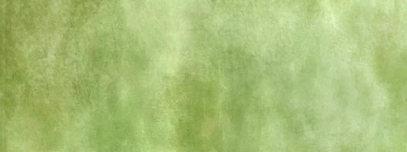 Key Lime 20X8 Ultracloth ( 240 X 96 Inch ) Backdrop