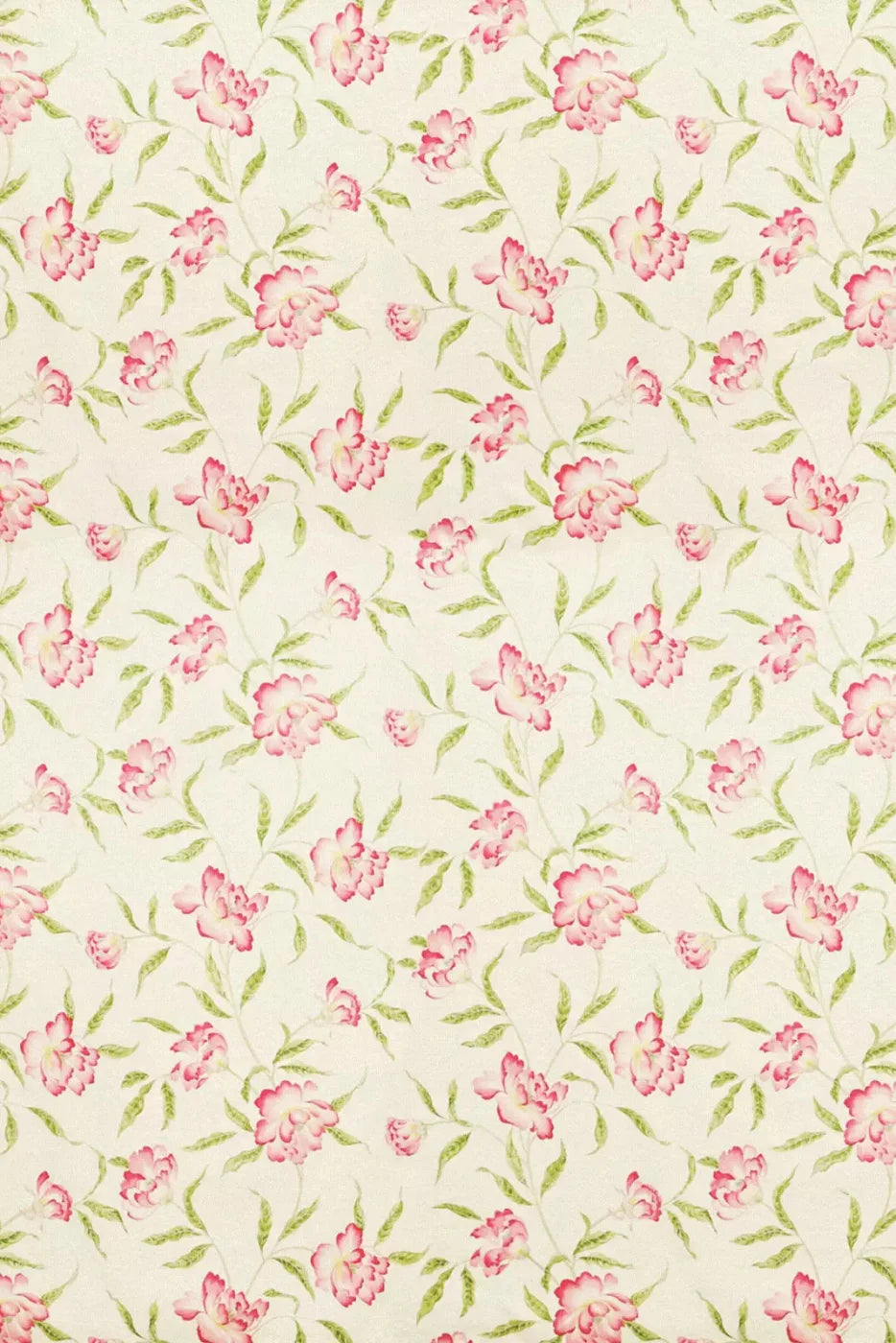 Kindle Backdrop