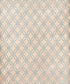 Beige Pattern Backdrop for Photography